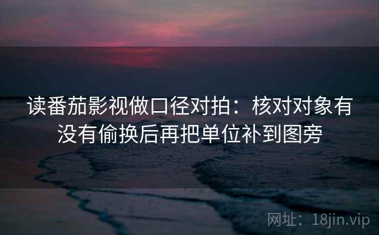 读番茄影视做口径对拍：核对对象有没有偷换后再把单位补到图旁